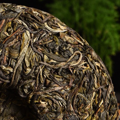 早春冰岛高山古树野放普洱茶生茶散茶茶农新茶批发茶叶老农古林图4