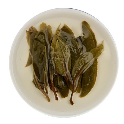 早春冰岛高山古树野放普洱茶生茶散茶茶农新茶批发茶叶老农古林图5