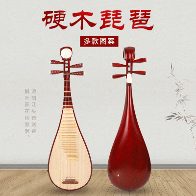 五弦琵琶初学教学乐器送配件练习琴硬木红木轴刻花琵图3