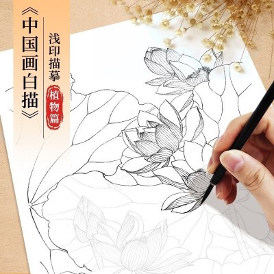 中国画白描描摹本 动物人物花卉山水工笔画白描底稿大图 临摹画册 2本起批图3