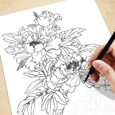 中国画白描描摹本 动物人物花卉山水工笔画白描底稿大图 临摹画册 2本起批图4